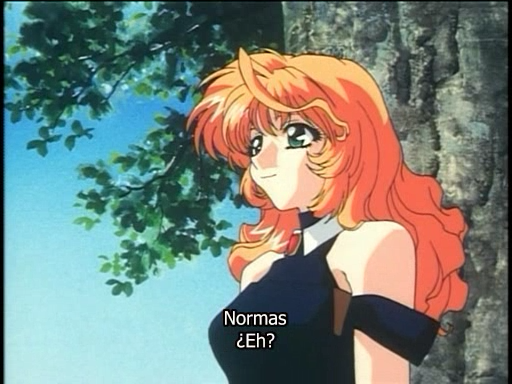 Shamanic Princess (Avalon Fansub)